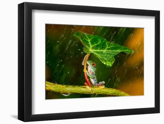 Ohh Noo :( It's Raining-Kutub Uddin-Framed Photographic Print