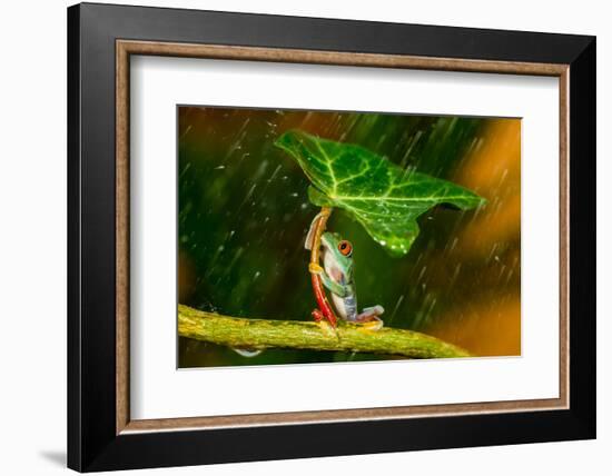 Ohh Noo :( It's Raining-Kutub Uddin-Framed Photographic Print