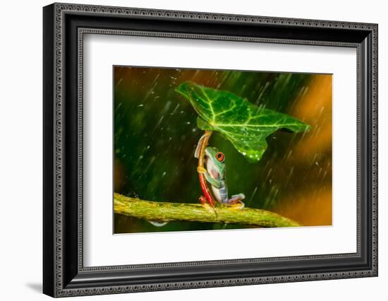 Ohh Noo :( It's Raining-Kutub Uddin-Framed Photographic Print