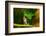 Ohh Noo :( It's Raining-Kutub Uddin-Framed Photographic Print