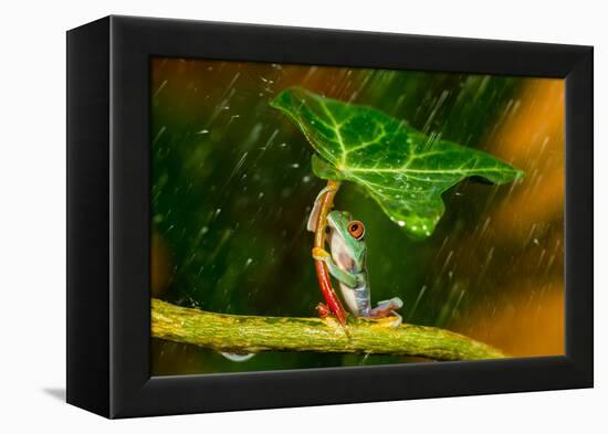 Ohh Noo :( It's Raining-Kutub Uddin-Framed Premier Image Canvas