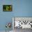 Ohh Noo :( It's Raining-Kutub Uddin-Framed Premier Image Canvas displayed on a wall