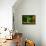 Ohh Noo :( It's Raining-Kutub Uddin-Framed Premier Image Canvas displayed on a wall