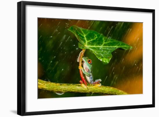 Ohh Noo :( It's Raining-Kutub Uddin-Framed Photographic Print