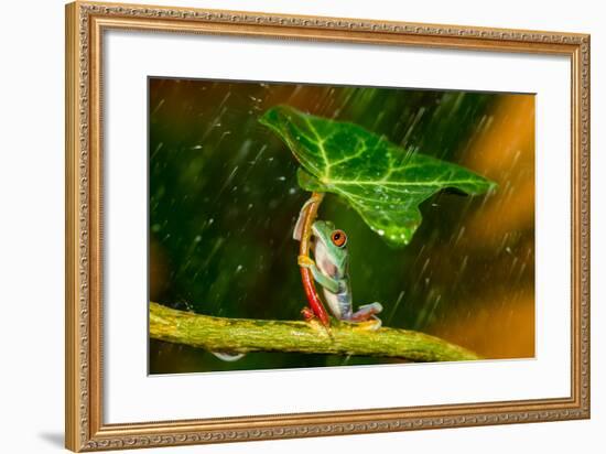 Ohh Noo :( It's Raining-Kutub Uddin-Framed Photographic Print