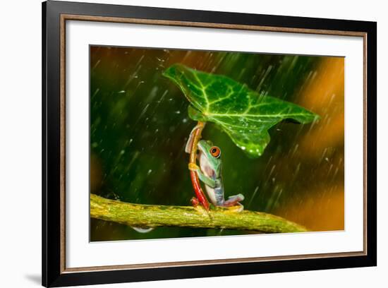 Ohh Noo :( It's Raining-Kutub Uddin-Framed Photographic Print