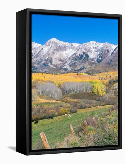 Ohio Creek Road, near Crested Butte, Colorado, USA-Rob Tilley-Framed Premier Image Canvas