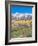 Ohio Creek Road, near Crested Butte, Colorado, USA-Rob Tilley-Framed Photographic Print