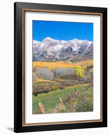 Ohio Creek Road, near Crested Butte, Colorado, USA-Rob Tilley-Framed Photographic Print