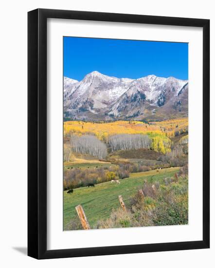 Ohio Creek Road, near Crested Butte, Colorado, USA-Rob Tilley-Framed Photographic Print