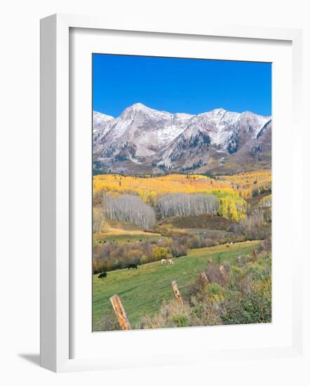 Ohio Creek Road, near Crested Butte, Colorado, USA-Rob Tilley-Framed Photographic Print