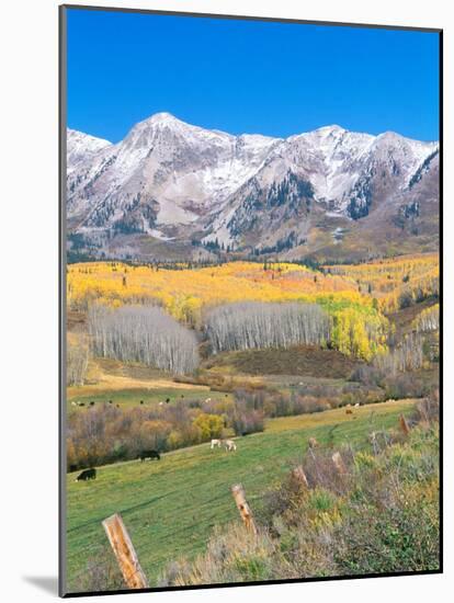 Ohio Creek Road, near Crested Butte, Colorado, USA-Rob Tilley-Mounted Photographic Print