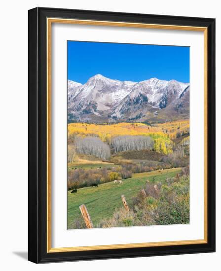 Ohio Creek Road, near Crested Butte, Colorado, USA-Rob Tilley-Framed Photographic Print