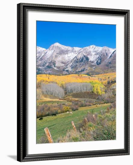 Ohio Creek Road, near Crested Butte, Colorado, USA-Rob Tilley-Framed Photographic Print