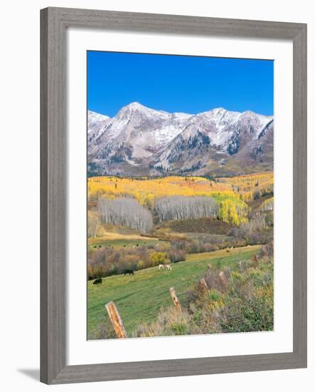 Ohio Creek Road, near Crested Butte, Colorado, USA-Rob Tilley-Framed Photographic Print