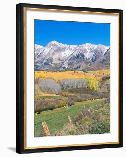 Ohio Creek Road, near Crested Butte, Colorado, USA-Rob Tilley-Framed Photographic Print