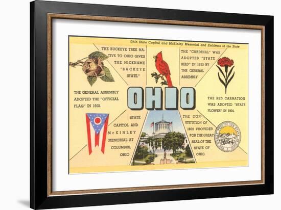 Ohio's Flag, Bird, Capitol, etc.-null-Framed Art Print