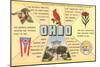 Ohio's Flag, Bird, Capitol, etc.-null-Mounted Art Print