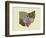 Ohio State Map-Lanre Adefioye-Framed Giclee Print