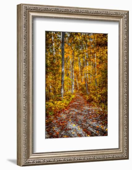 Ohiopyle Path-Robert Lott-Framed Art Print