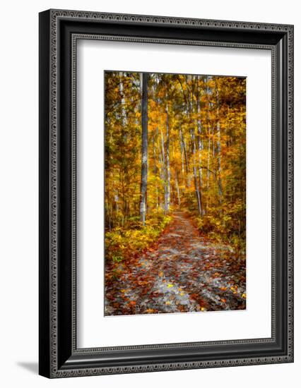 Ohiopyle Path-Robert Lott-Framed Art Print