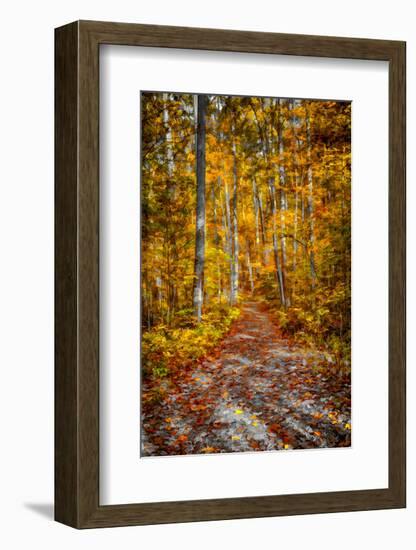 Ohiopyle Path-Robert Lott-Framed Art Print