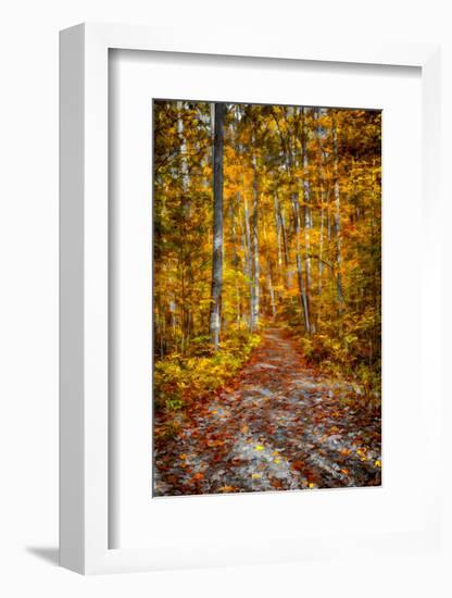 Ohiopyle Path-Robert Lott-Framed Art Print