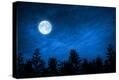 Stretched Canvas Print