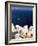 Oia (Ia), Island of Santorini (Thira), Cyclades Islands, Aegean, Greek Islands, Greece, Europe-Sergio Pitamitz-Framed Photographic Print