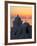 Oia, Santorini, Cyclades Islands, Greek Islands, Greece, Europe-Hans Peter Merten-Framed Photographic Print