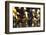 Oil (butter) lamps burning in Hindu temple, Kathmandu, Nepal, Asia-Godong-Framed Photographic Print