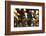 Oil (butter) lamps burning in Hindu temple, Kathmandu, Nepal, Asia-Godong-Framed Photographic Print