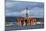 Oil Drilling Rig, North Sea-Duncan Shaw-Mounted Photographic Print