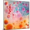 Oil Drops on Water Surface with Colorful Gradient Background-Abstract Oil Work-Mounted Photographic Print