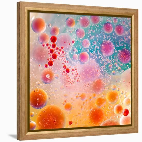 Oil Drops on Water Surface with Colorful Gradient Background-Abstract Oil Work-Framed Premier Image Canvas