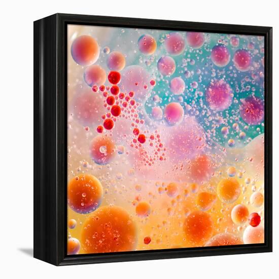 Oil Drops on Water Surface with Colorful Gradient Background-Abstract Oil Work-Framed Premier Image Canvas