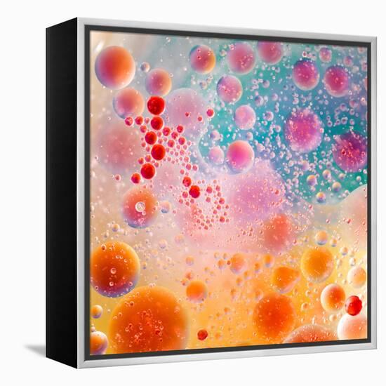 Oil Drops on Water Surface with Colorful Gradient Background-Abstract Oil Work-Framed Premier Image Canvas