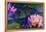 Oil Painting of Beautiful Lotus Flower-jannoon028-Framed Stretched Canvas