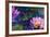 Oil Painting of Beautiful Lotus Flower-jannoon028-Framed Premium Giclee Print