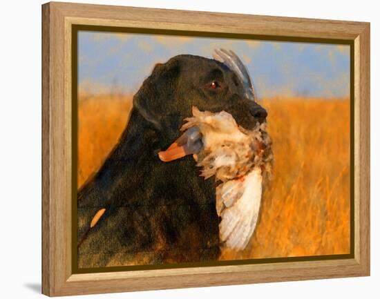 Oil Painting Portrait Of Black Labrador With Duck-Yarvet-Framed Stretched Canvas