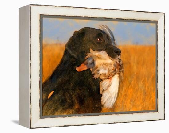 Oil Painting Portrait Of Black Labrador With Duck-Yarvet-Framed Stretched Canvas