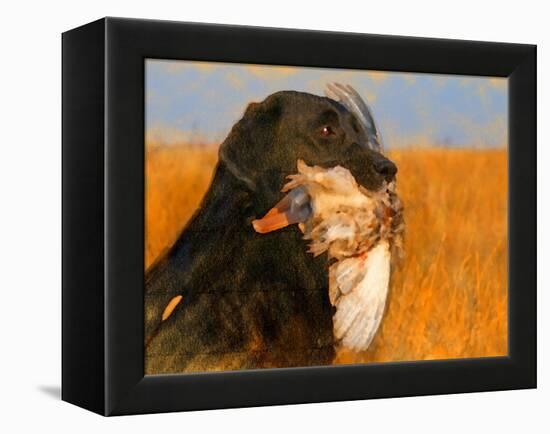 Oil Painting Portrait Of Black Labrador With Duck-Yarvet-Framed Stretched Canvas