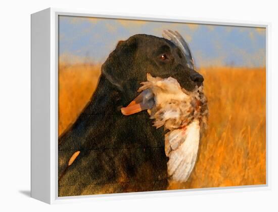 Oil Painting Portrait Of Black Labrador With Duck-Yarvet-Framed Stretched Canvas