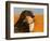 Oil Painting Portrait Of Black Labrador With Duck-Yarvet-Framed Art Print