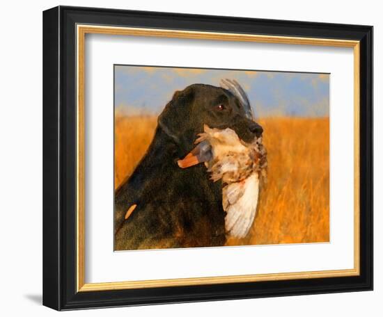 Oil Painting Portrait Of Black Labrador With Duck-Yarvet-Framed Art Print
