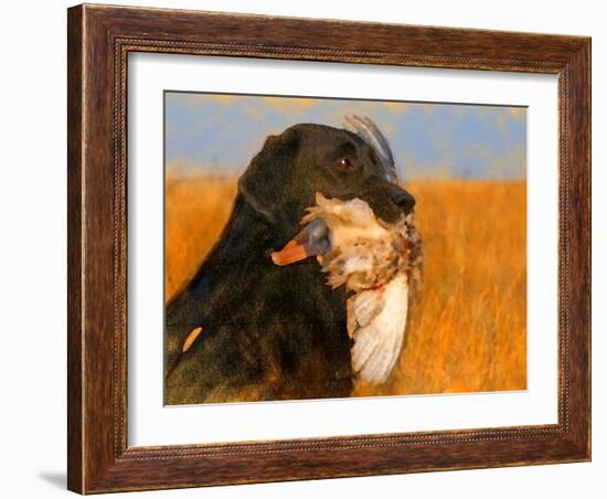 Oil Painting Portrait Of Black Labrador With Duck-Yarvet-Framed Art Print