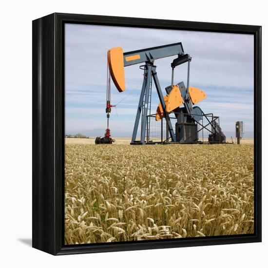 Oil Pump In a Wheat Field-Tony Craddock-Framed Premier Image Canvas