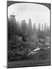 Oil Rigs Near Los Angeles, California-null-Mounted Photographic Print