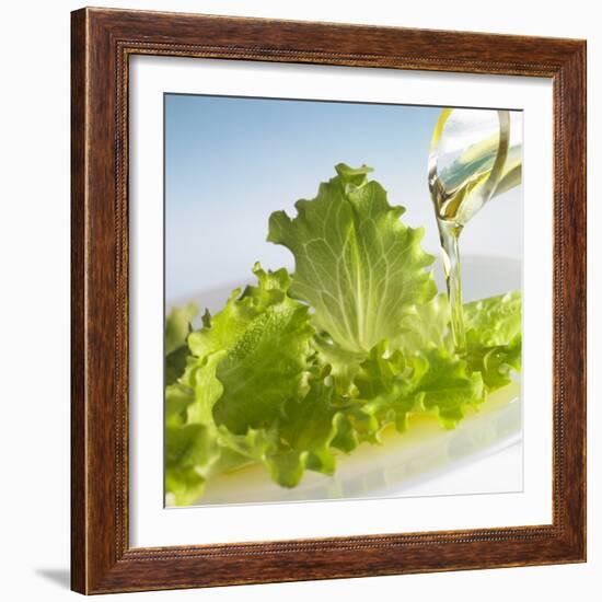 Oil Running onto Lettuce Leaves-Brigitte Wegner-Framed Photographic Print