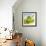 Oil Running onto Lettuce Leaves-Brigitte Wegner-Framed Photographic Print displayed on a wall